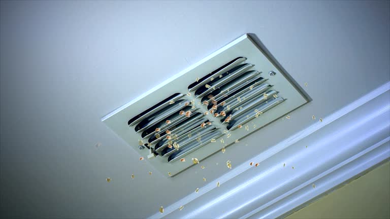 Best Local Air Duct Cleaning Services  in Dellwood, MN