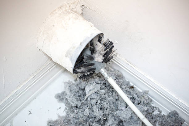 Best Affordable Duct Cleaning Services  in Dellwood, MN